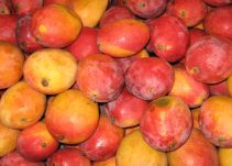Por medio de mangos estarían drogando a estudiantes en Córdoba