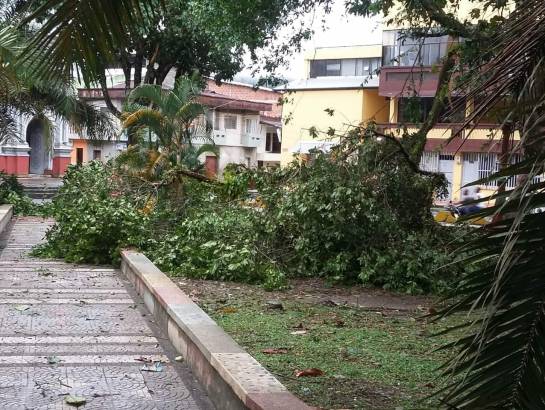 Chocó: Vendaval en Tadó deja al menos 200 viviendas afectadas Chocó: Vendaval en Tadó deja al menos 200 viviendas afectadas