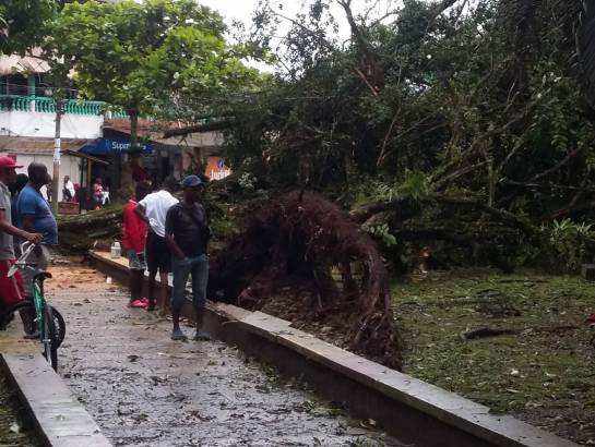 Chocó: Vendaval en Tadó deja al menos 200 viviendas afectadas Chocó: Vendaval en Tadó deja al menos 200 viviendas afectadas