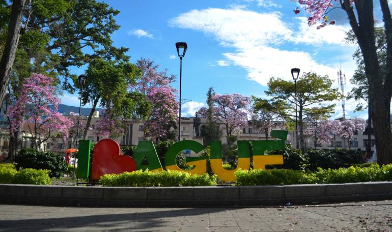 #WeLoveIbagué: Ibagué es reconocida mundialmente en materia de sostenibilidad