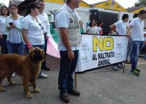 Denuncian envenenamiento de mascotas en varios barrios de Armenia