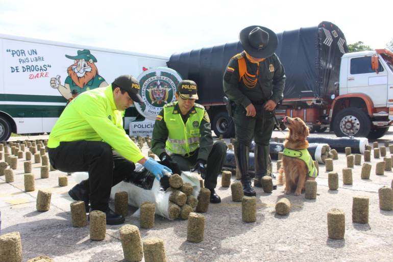 JUDICIAL, MARIHUANA, MARIMBA: En Bucaramanga hay desabastecimiento de marihuana