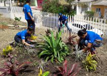 Avanza la Semana de la Sostenibilidad de la alianza ANDI–Fundación Mamonal