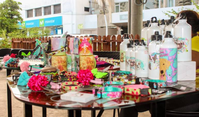 Cartagena tiene el primer casino del país amigable con las mascotas