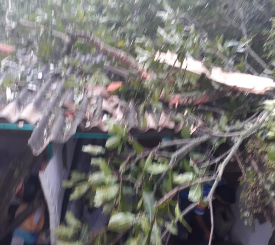 LLUVIAS TORMENTA BRISA VIENTO: Inundaciones en vías, caídas de techos y árboles dejó fuerte aguacero LLUVIAS TORMENTA BRISA VIENTO: Inundaciones en vías, caídas de techos y árboles dejó fuerte aguacero