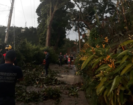 LLUVIAS TORMENTA BRISA VIENTO: Inundaciones en vías, caídas de techos y árboles dejó fuerte aguacero LLUVIAS TORMENTA BRISA VIENTO: Inundaciones en vías, caídas de techos y árboles dejó fuerte aguacero