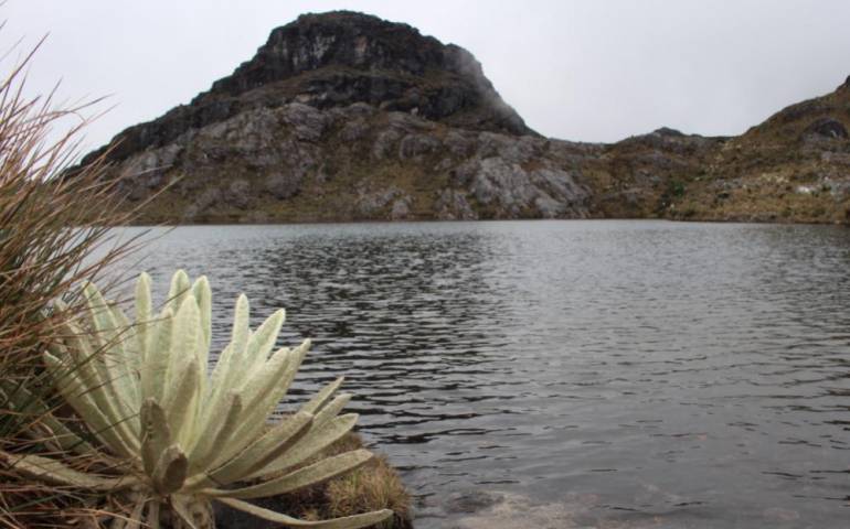 PÁRAMO SANTURBÁN MEDIO AMBIENTE CDMB: Estudian implementar pagos por servicios ambientales en Santurbán