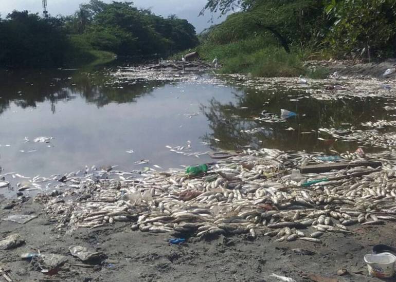 /FOTO CARACOL RADIO