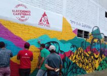 Avanzan elecciones cafeteras con denuncias en el departamento del Quindío