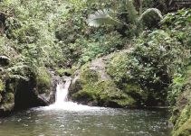 Polémica por calidad del agua que se consume en Armenia