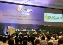 En Santa Marta se desarrolla el VIII Congreso Bananero
