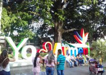 Las noticias más importantes de Armenia y Quindío, viernes 10 agosto