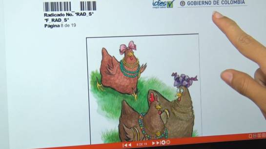 BUCARAMANGA PRUEBAS SABER 11 BACHILLERATO: Con la foto de una gallina pasó las pruebas Saber 11 BUCARAMANGA PRUEBAS SABER 11 BACHILLERATO: Con la foto de una gallina pasó las pruebas Saber 11
