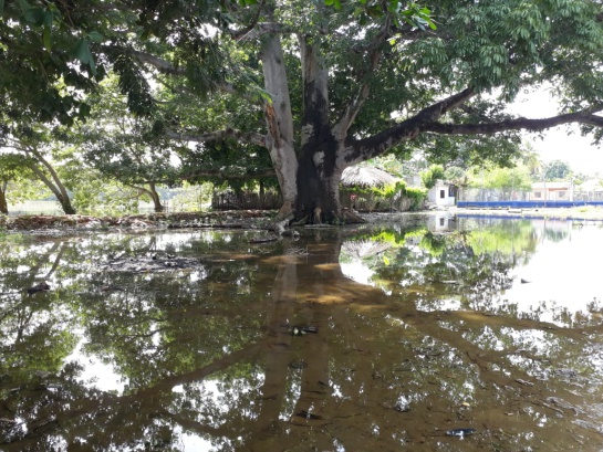 Crisis por lluvias en Lorica: Lorica: la lucha entre los cuerpos de agua y los cuerpos del hombre Crisis por lluvias en Lorica: Lorica: la lucha entre los cuerpos de agua y los cuerpos del hombre