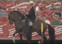 Los ausentes de la Feria de las Flores 2018