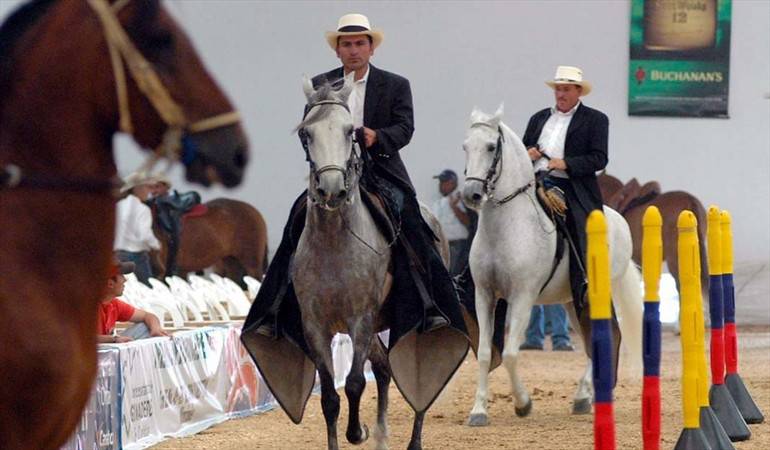 Suspenden cabalgatas para evitar propagación de fiebre equina en el Huila