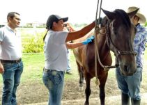Bloqueo preventivo de algunos municipios de Bolívar por influenza equina