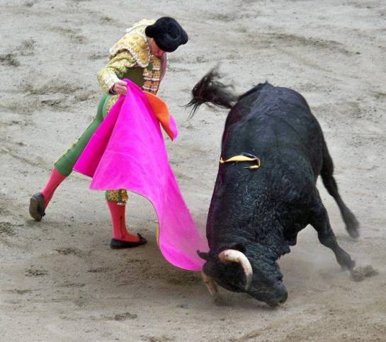 Corridas de toros, Manizales, Animalistas, Ganaderos: Las corridas de toros no serán prohibidas en Colombia Corridas de toros, Manizales, Animalistas, Ganaderos: Las corridas de toros no serán prohibidas en Colombia