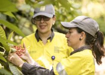 Cerro Matoso es reconocida como la mejor empresa en equidad de género