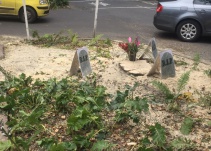 Vecinos en el norte de Bogotá denuncian más tala de árboles