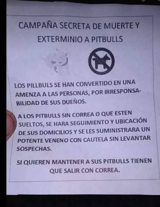 Con panfletos, amenazan a perros pitbull en Cartagena: Con panfletos, amenazan a perros pitbull en Cartagena Con panfletos, amenazan a perros pitbull en Cartagena: Con panfletos, amenazan a perros pitbull en Cartagena