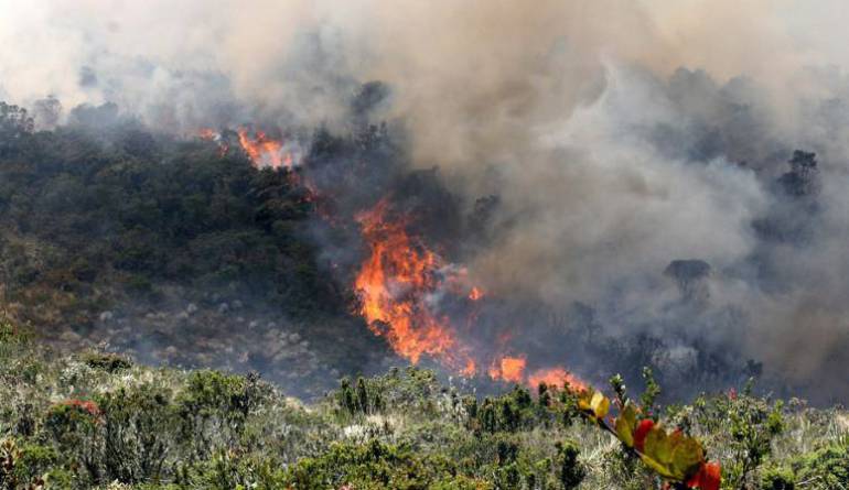 Fuera de control, está un incendio en el páramo La Cortadera en Boyacá: Fuera de control, está un incendio en el páramo La Cortadera en Boyacá