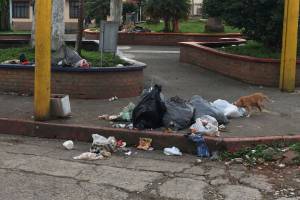Muchas zonas de Dosquebradas siguen inundadas de basuras Muchas zonas de Dosquebradas siguen inundadas de basuras