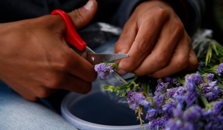 Luvias en Cauca: Empresarios de flores en Cauca afrontan crisis por vientos y granizadas
