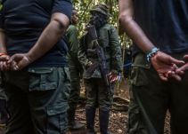 Verificarán presencia de ex integrantes de las Farc en la vereda Caño Indio