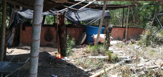 Casa de piques en Flandes: ‘Casa de Pique’ en Flandes: Horror y violencia Casa de piques en Flandes: ‘Casa de Pique’ en Flandes: Horror y violencia