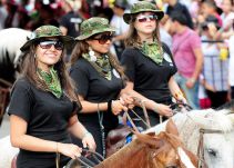 Concejo de Cartagena aprobó reglamentación de cabalgatas