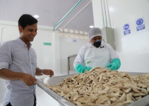 Natagaima inauguró planta procesadora de harina de cachaco