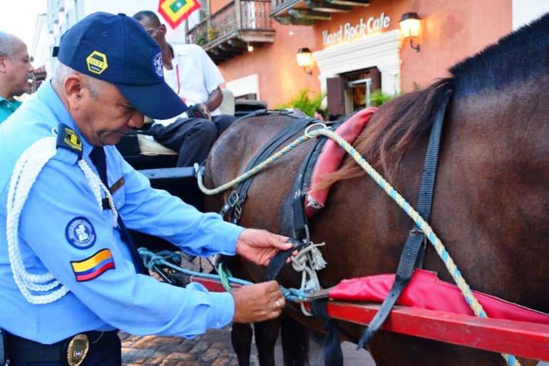 Tutela busca incluir a los coches de Cartagena como patrimonio cultural: Tutela busca incluir a los coches de Cartagena como patrimonio cultural
