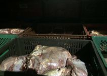 Decomisan carne procedente de Venezuela en La Guajira
