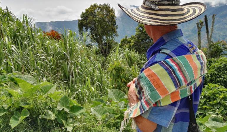 Campesinos del bajo Cauca temen por el regreso del glifosato