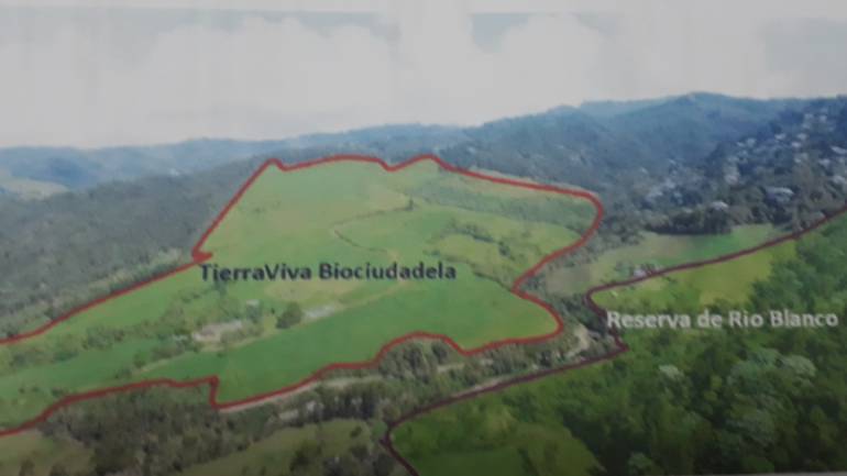 Consejo de Estado confirma sentencia sobre caso Tierra Viva: Consejo de Estado confirma improcedencia de tutela instaurada por CFC
