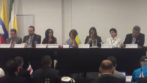Expertos de 20 países de Latinoamérica y el caribe están reunidos en Armenia Expertos de 20 países de Latinoamérica y el caribe están reunidos en Armenia