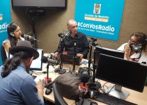 Medellín conmemora el mes de los animales