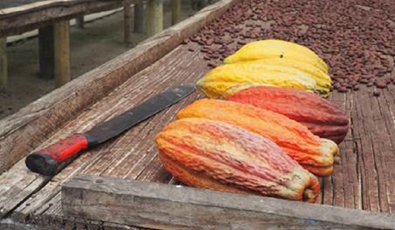 Cacao de Tumaco: Cacao de Tumaco en el menú de Crepes & Waffles