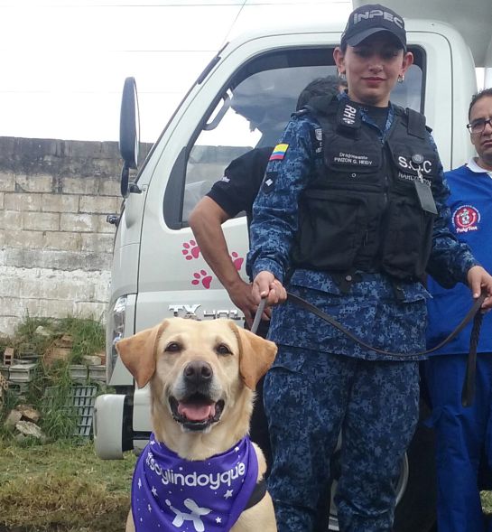 Centro canino cárcel El buen Pastor.: Inauguran centro canino en la cárcel El Buen Pastor Centro canino cárcel El buen Pastor.: Inauguran centro canino en la cárcel El Buen Pastor