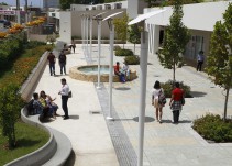 Ejecutivos de la costa Atlántica podrán obtener un MBA