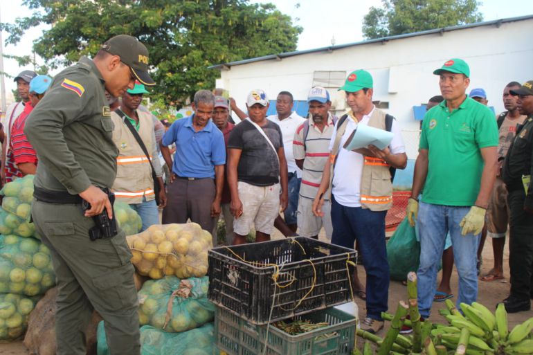 Aprehenden media tonelada de tubérculos en mercado de Cartagena: Aprehenden media tonelada de tubérculos en mercado de Cartagena