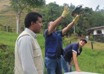 Incautaciones de fauna silvestre se han reducido en 40% en Quindío: CRQ