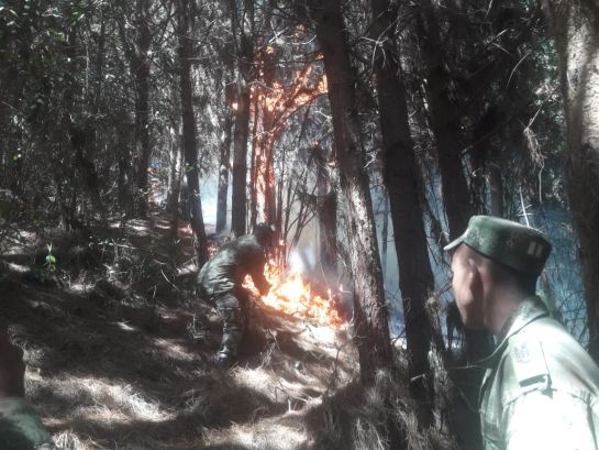 Evacúan 10 familias por incendio forestal cercano a un páramo en Boyacá: Evacúan 10 familias por incendio forestal cercano a un páramo en Boyacá Evacúan 10 familias por incendio forestal cercano a un páramo en Boyacá: Evacúan 10 familias por incendio forestal cercano a un páramo en Boyacá