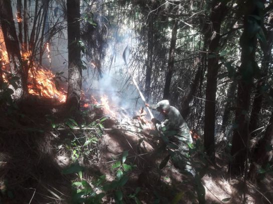 Evacúan 10 familias por incendio forestal cercano a un páramo en Boyacá: Evacúan 10 familias por incendio forestal cercano a un páramo en Boyacá Evacúan 10 familias por incendio forestal cercano a un páramo en Boyacá: Evacúan 10 familias por incendio forestal cercano a un páramo en Boyacá