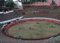 Desde hace cuatro años no hay corridas de toros en Armenia