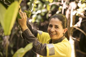 Trabajadores de Cerro Matoso ayudan a preservar la salud y el ambiente Trabajadores de Cerro Matoso ayudan a preservar la salud y el ambiente