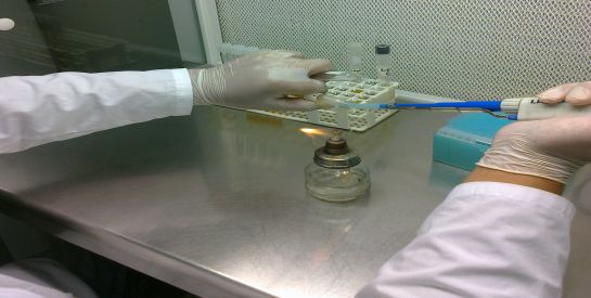 Con sellante biológico curarán mastitis en las vacas Con sellante biológico curarán mastitis en las vacas