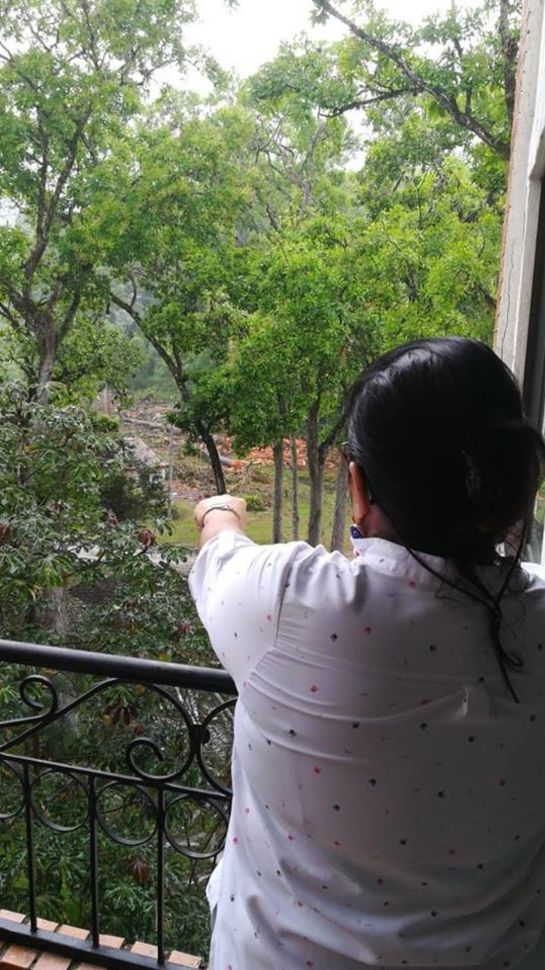 Los residentes hicieron un plantó rechazando la tala de los árboles Los residentes hicieron un plantó rechazando la tala de los árboles