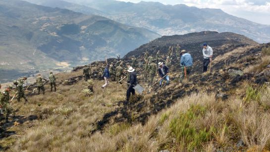 Tragedia ambiental en Boyacá: 2 incendios calcinaron más de 2.000 hectáreas: Tragedia ambiental en Boyacá: 2 incendios calcinaron más de 2.000 hectáreas Tragedia ambiental en Boyacá: 2 incendios calcinaron más de 2.000 hectáreas: Tragedia ambiental en Boyacá: 2 incendios calcinaron más de 2.000 hectáreas